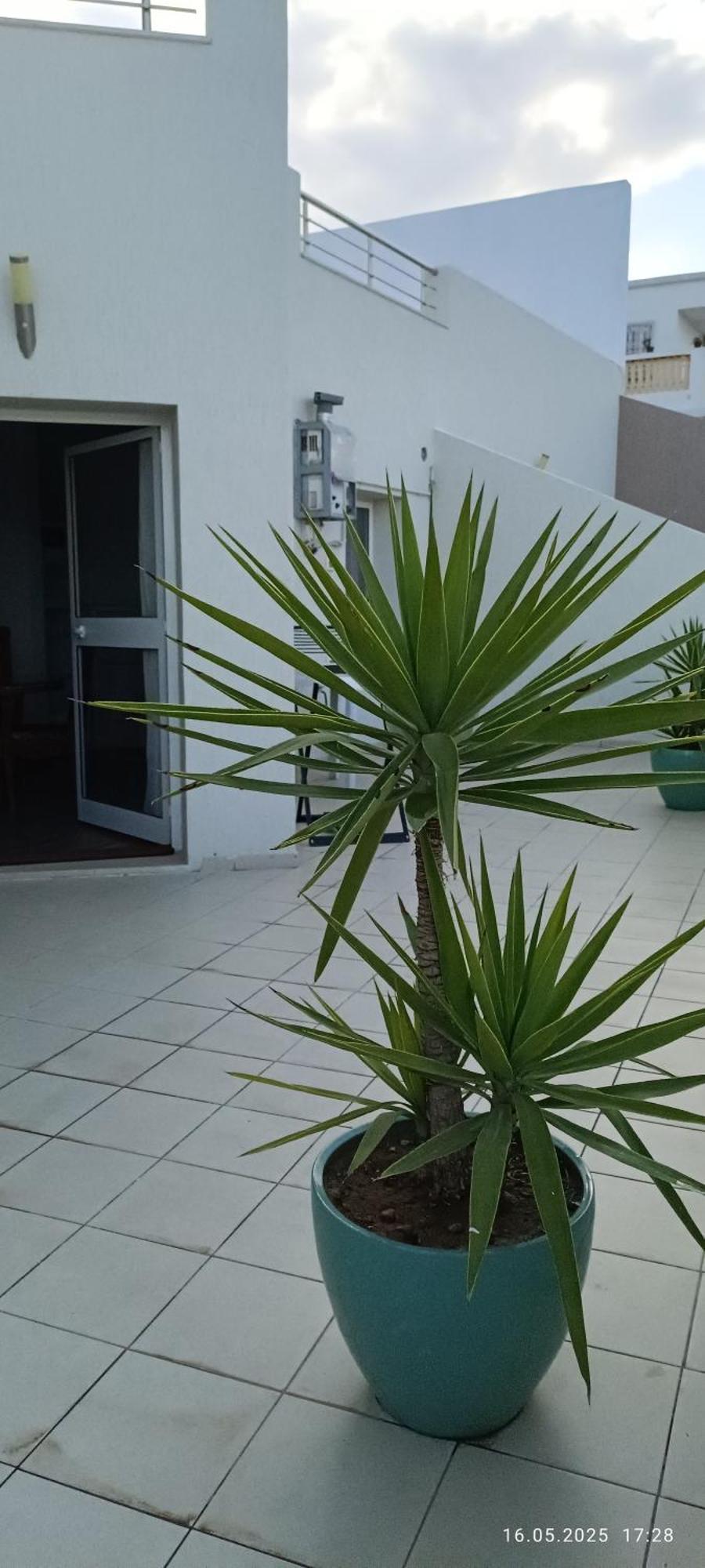 Residence Debbabi Sans Coupure D'Eau Monastyr Pokój zdjęcie